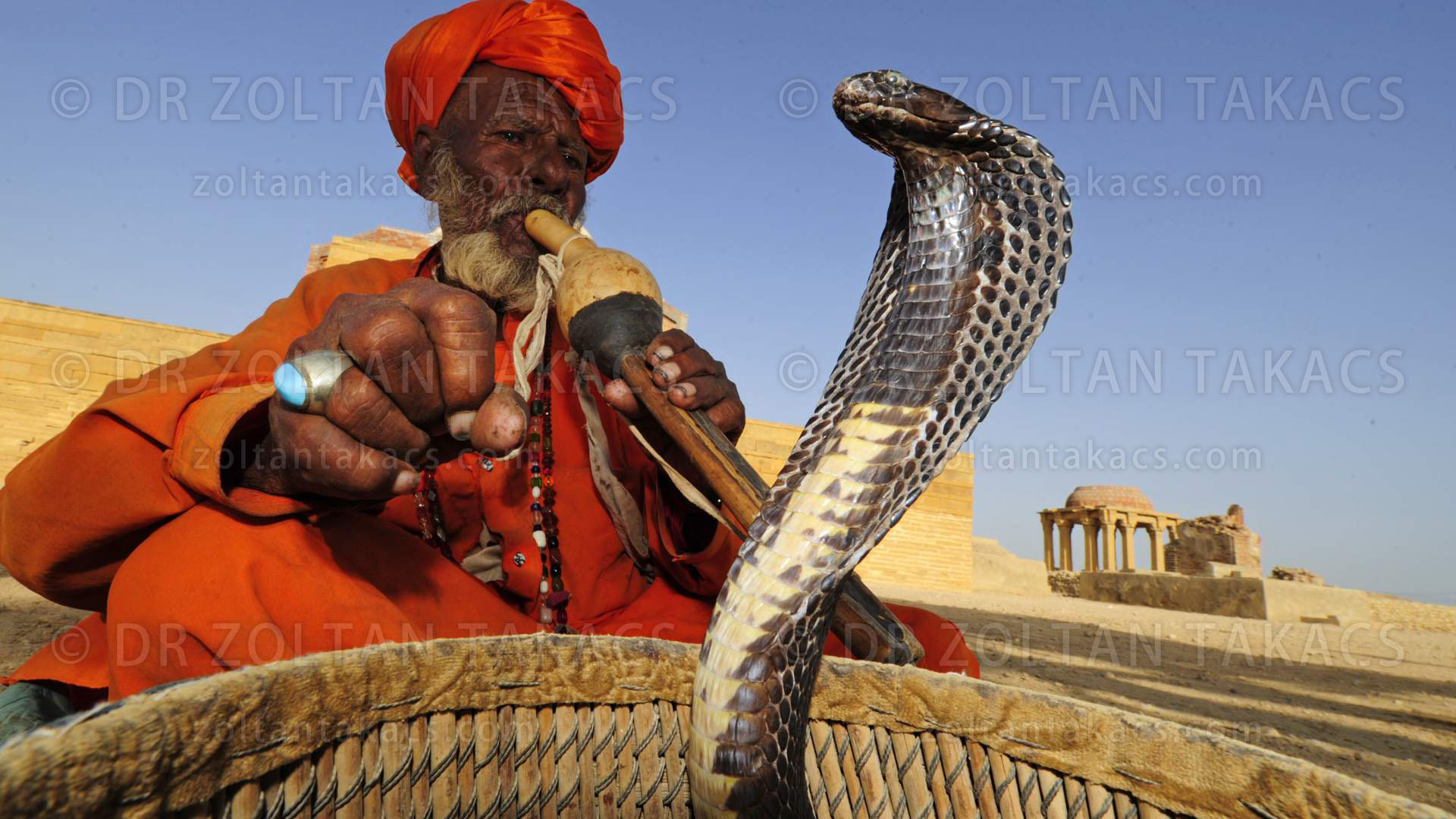 the-snake-charmer-india-travel-forum-indiamike