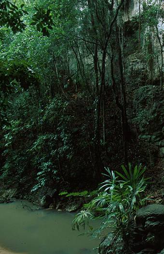 Belize. Dr. Zoltan Takacs.