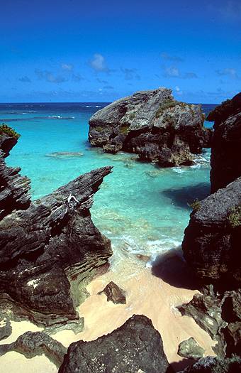 Bermuda. Dr. Zoltan Takacs.