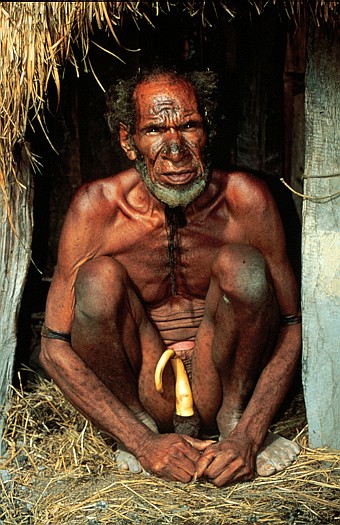 Dani tribe, Iran Jaya, Indonesia. Dr. Zoltan Takacs.