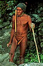 Dani tribe, Irian Jaya, Indonesia