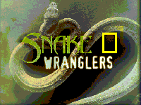 Snake Wranglers